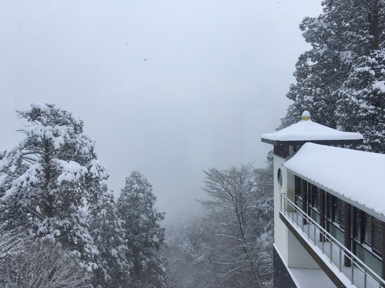 2017-02-10 11.56.10.jpg